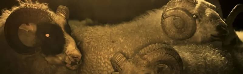 Lamb / Агнец (2021)