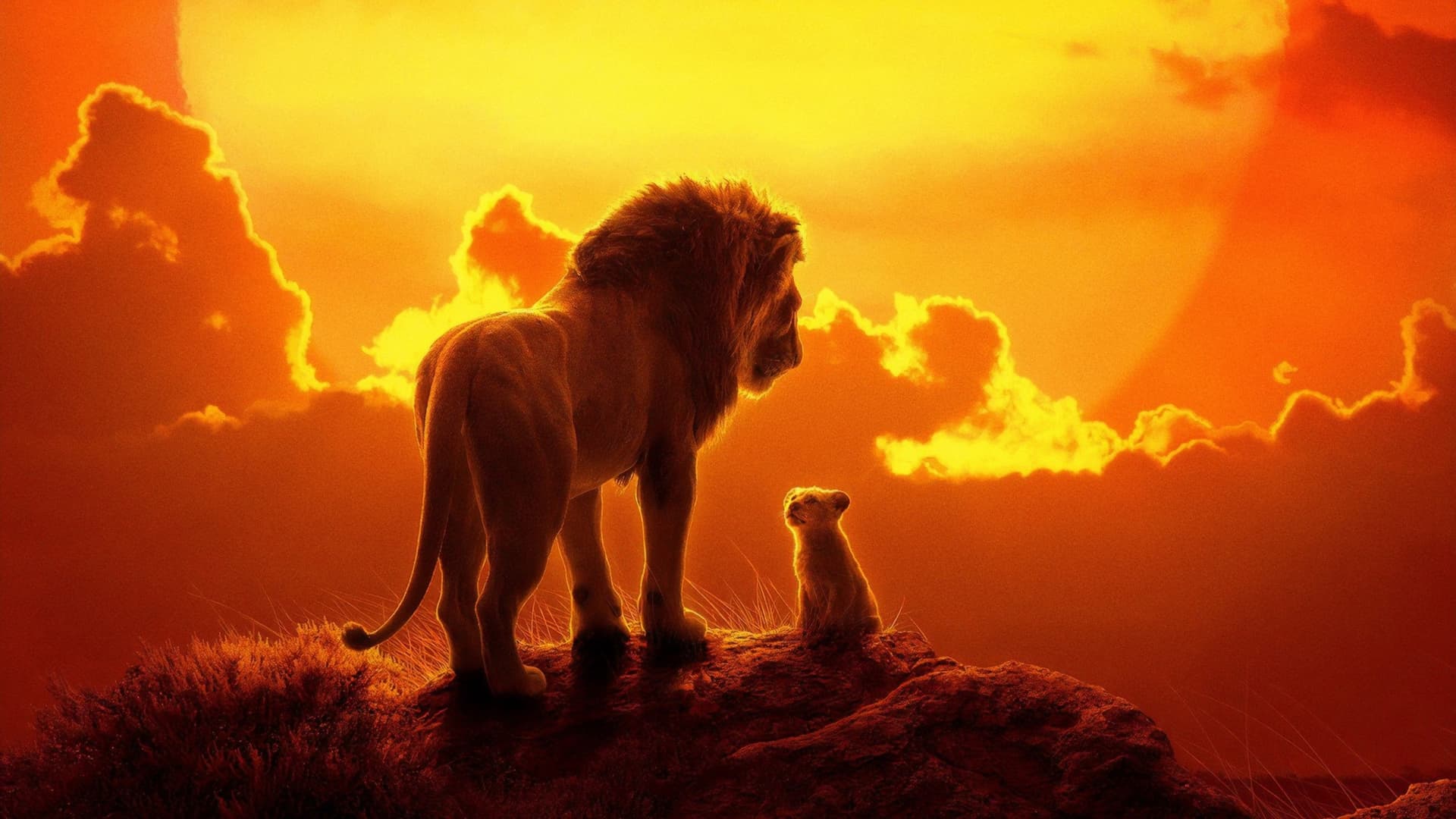 The Lion King / Цар Лъв