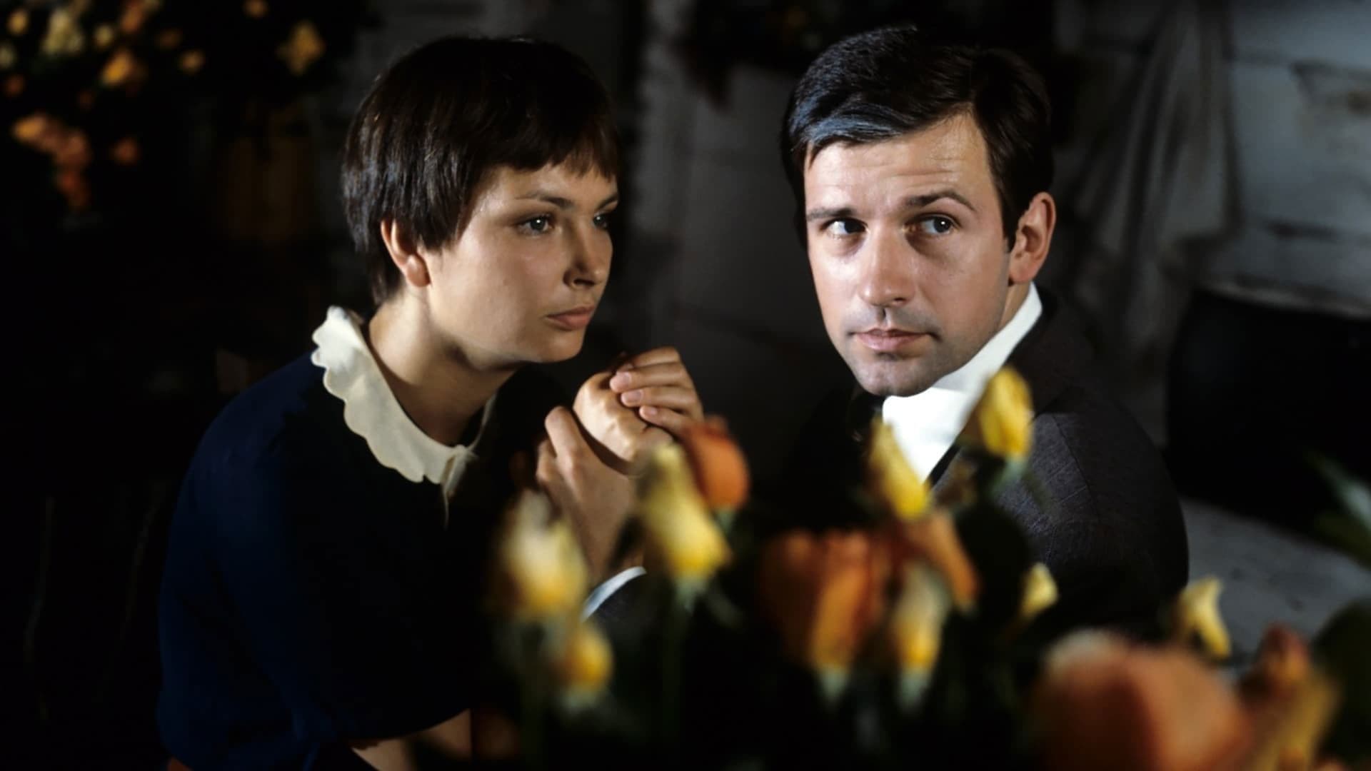 Znachor / Знахар