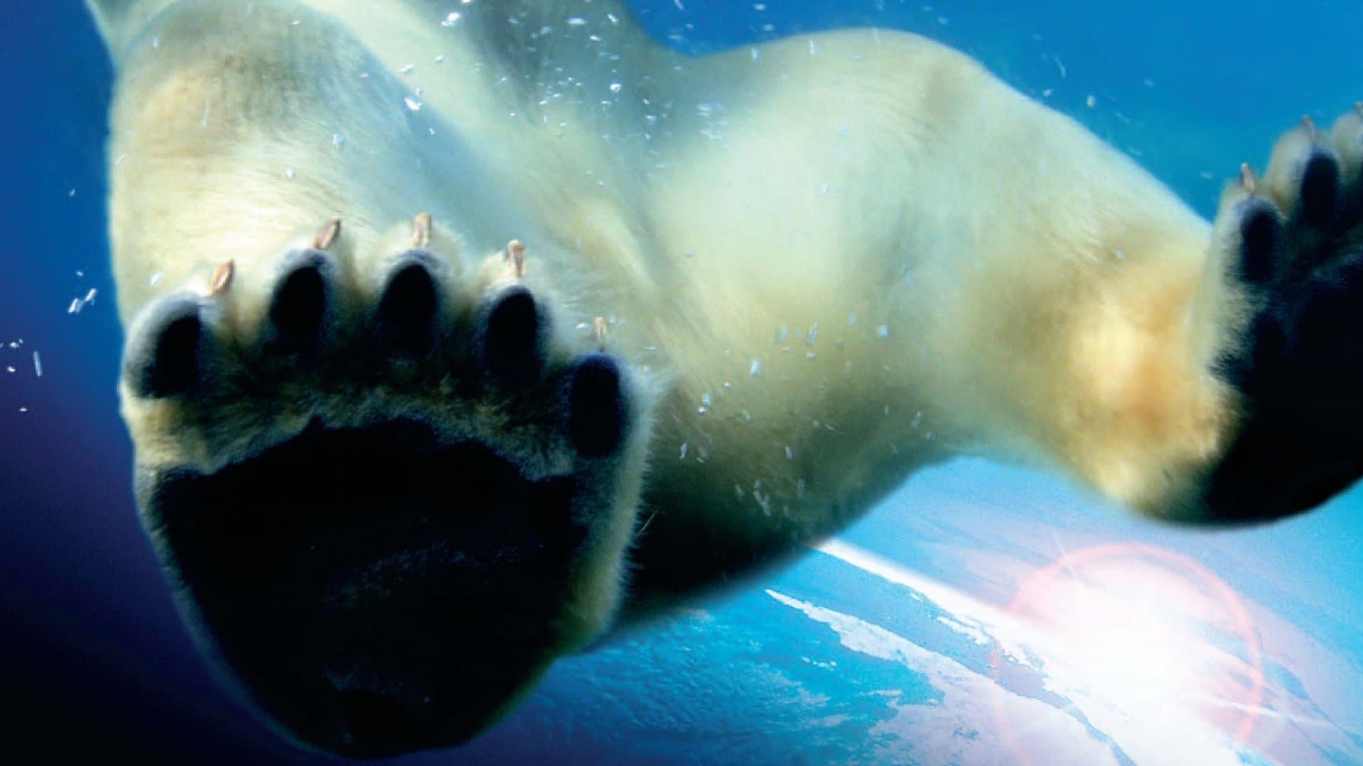 Earth / Земя: Пътешествието на живота