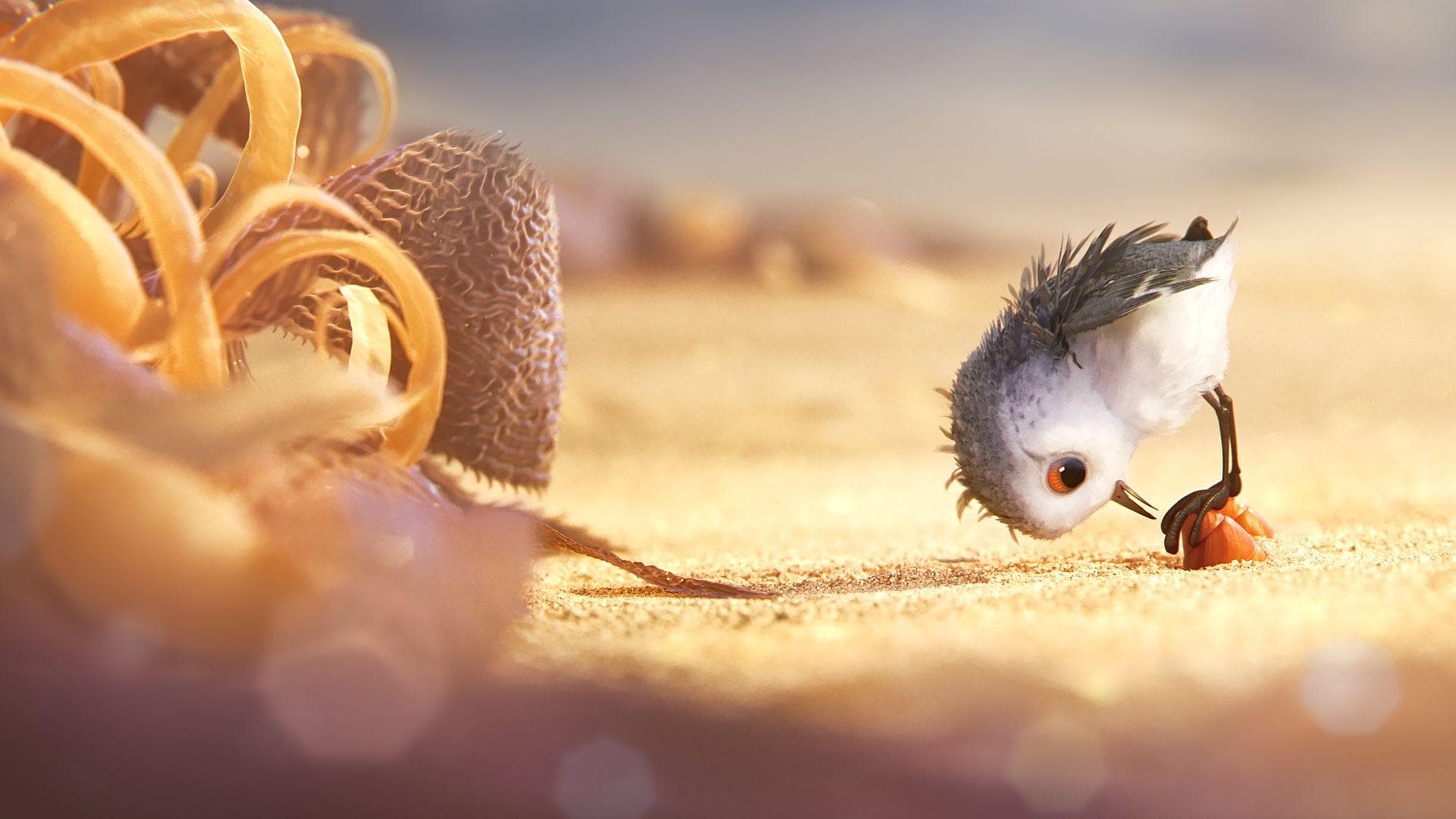 Piper / Пайпър