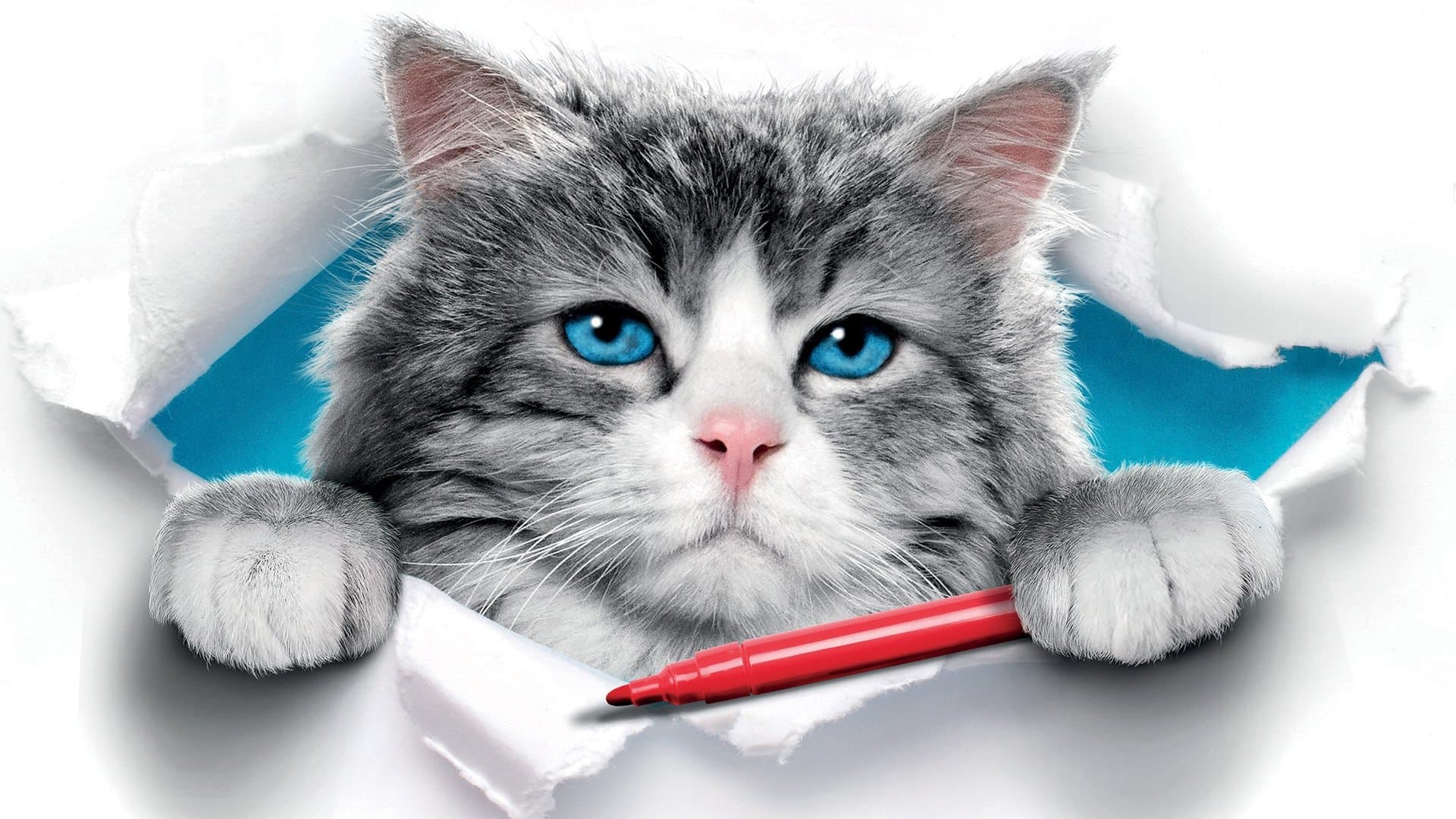 Nine Lives / Девет живота