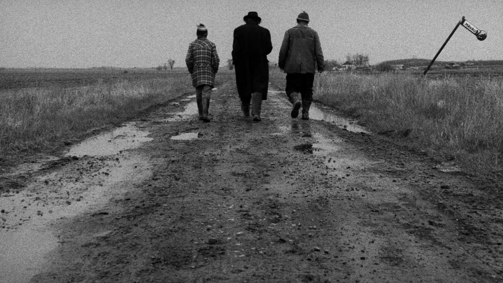 Sátántangó / Сатанинско танго