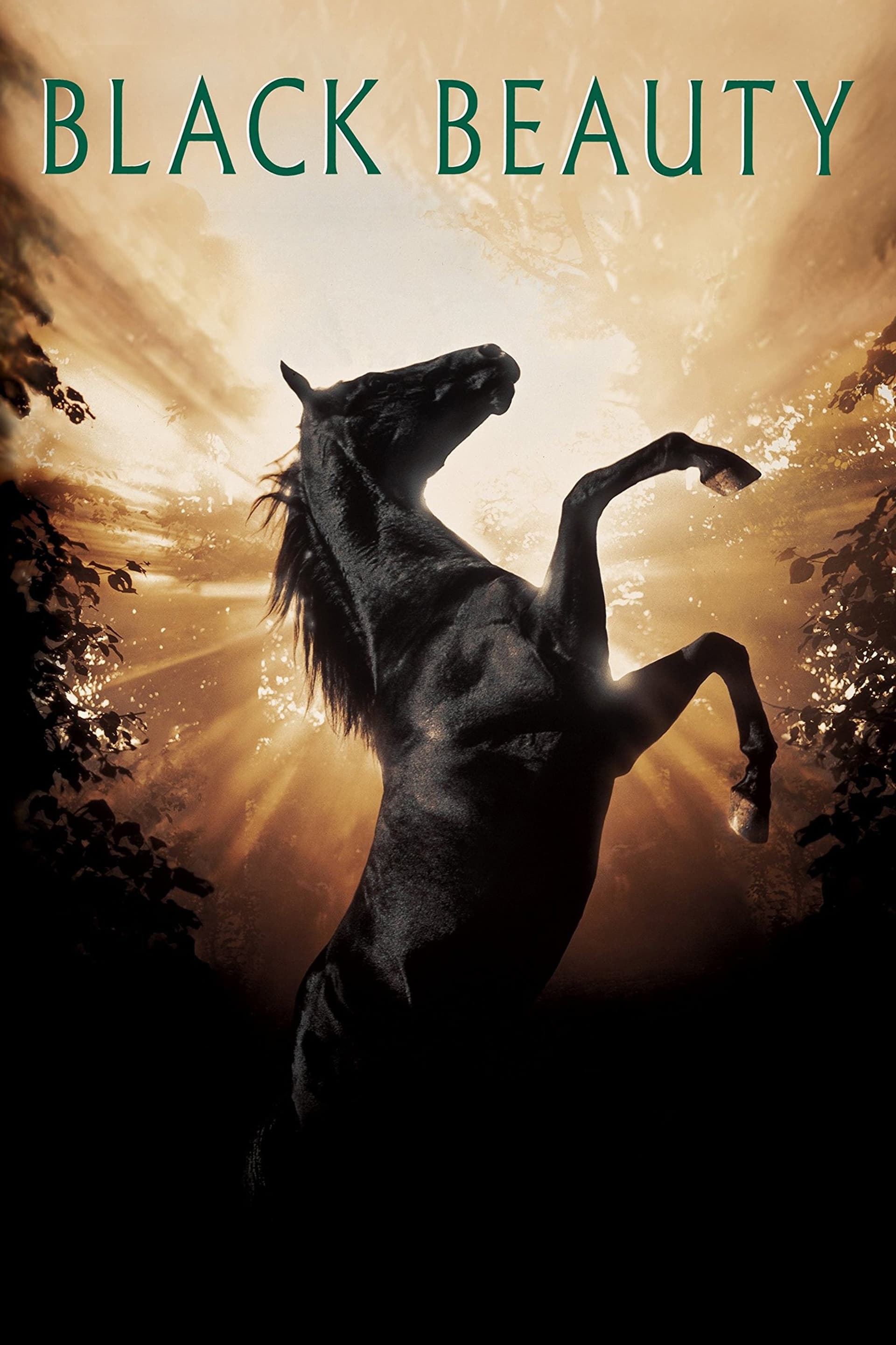 Black Beauty / Черният красавец