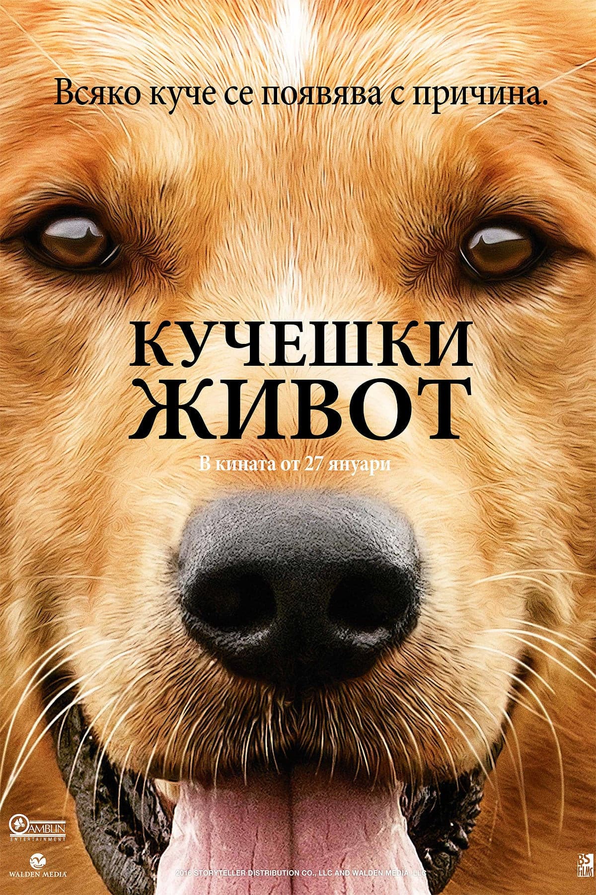 A Dog's Purpose / Кучешки живот