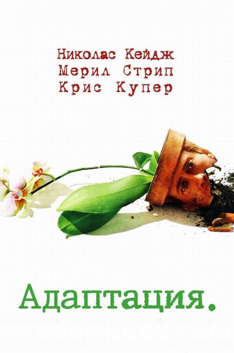 Adaptation. / Адаптация