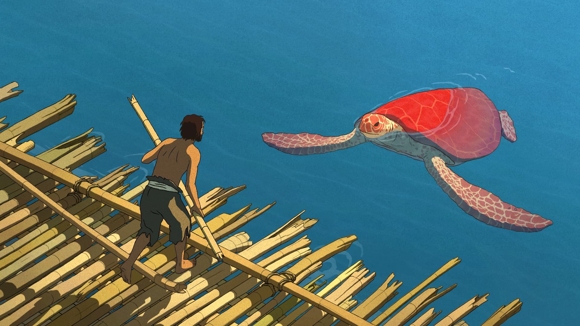 La tortue rouge / Червената костенурка