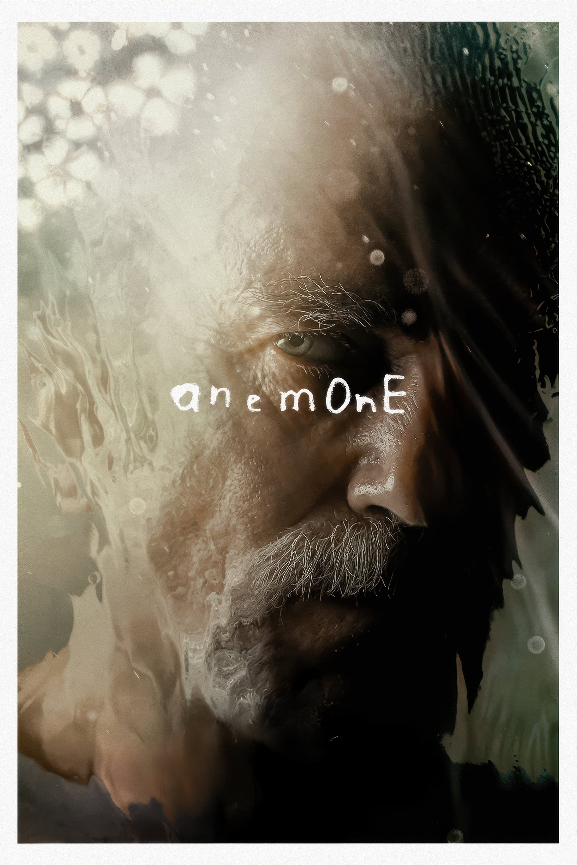 Anemone / Анемона