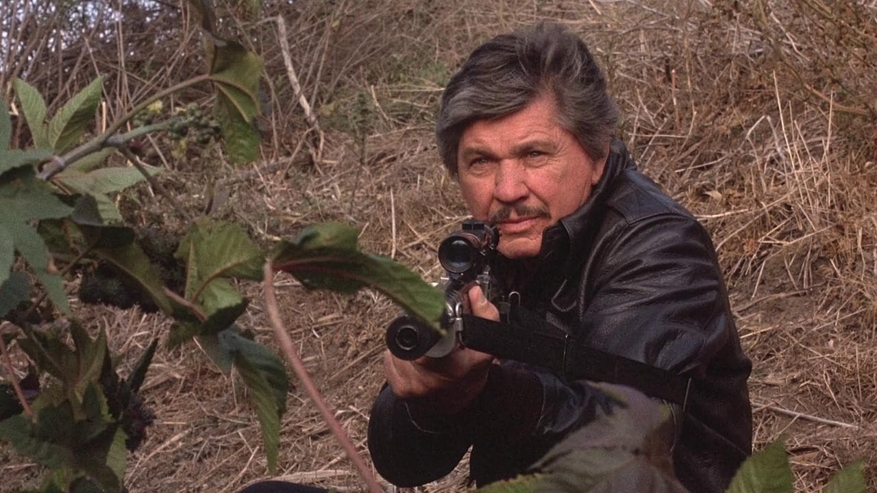 Death Wish 4: The Crackdown / Смъртоносно желание 4: Пречупване