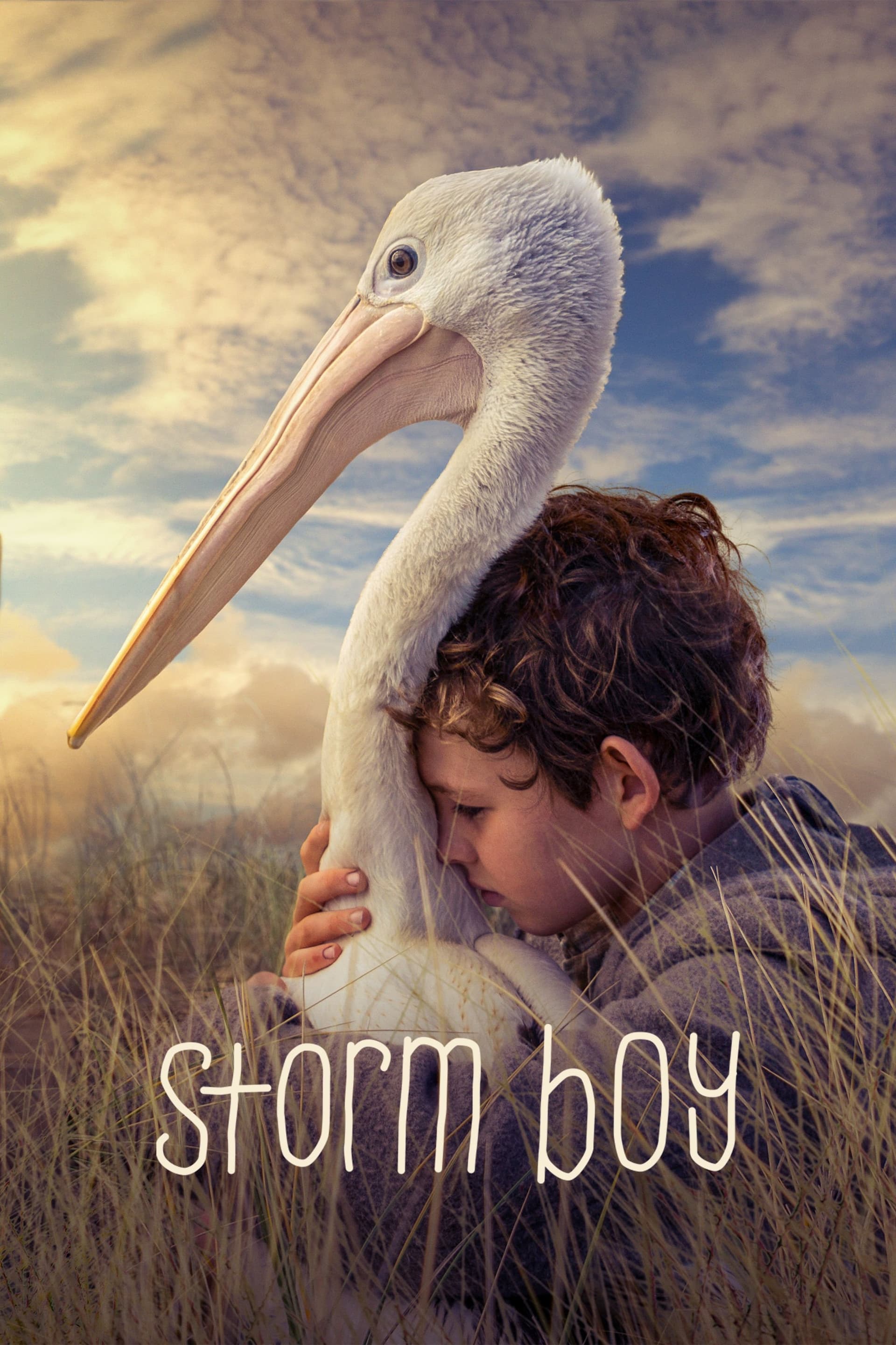 Storm Boy / Момчето и пеликанът