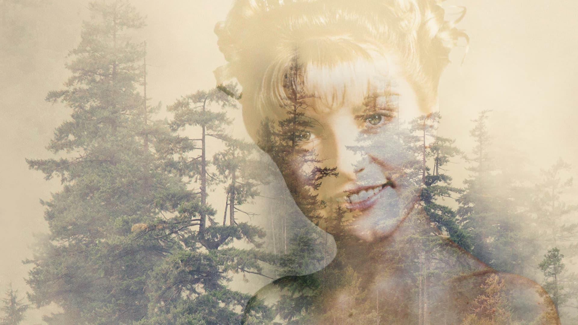 Туин Пийкс - Сезон 3