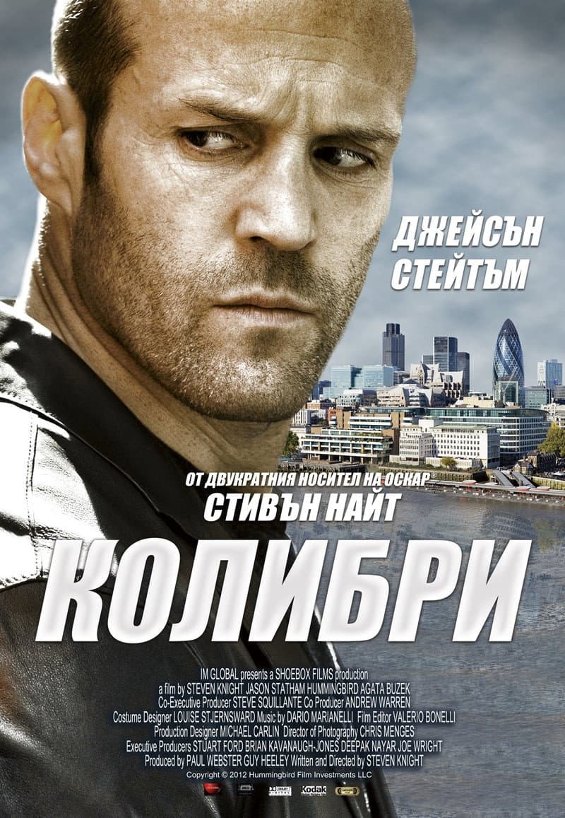 Hummingbird / Колибри