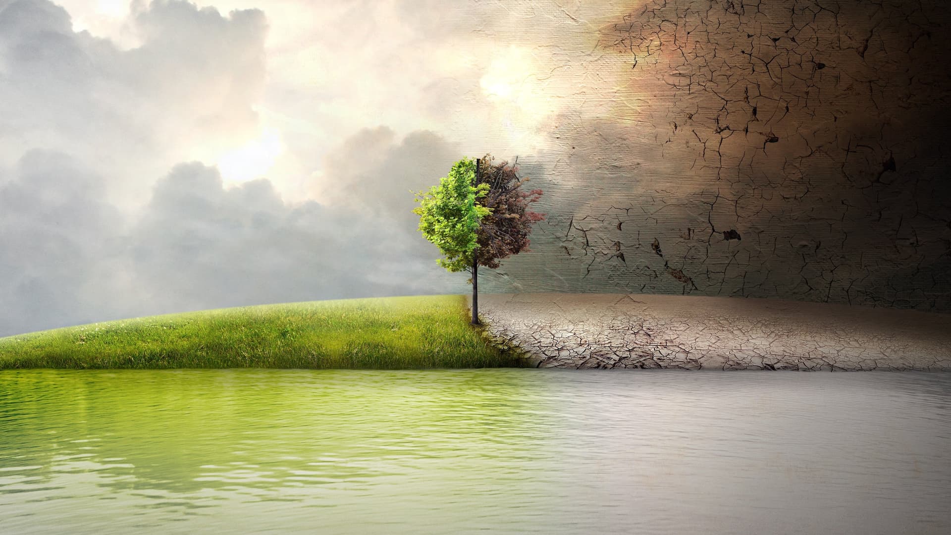 Before the Flood / Преди потопа