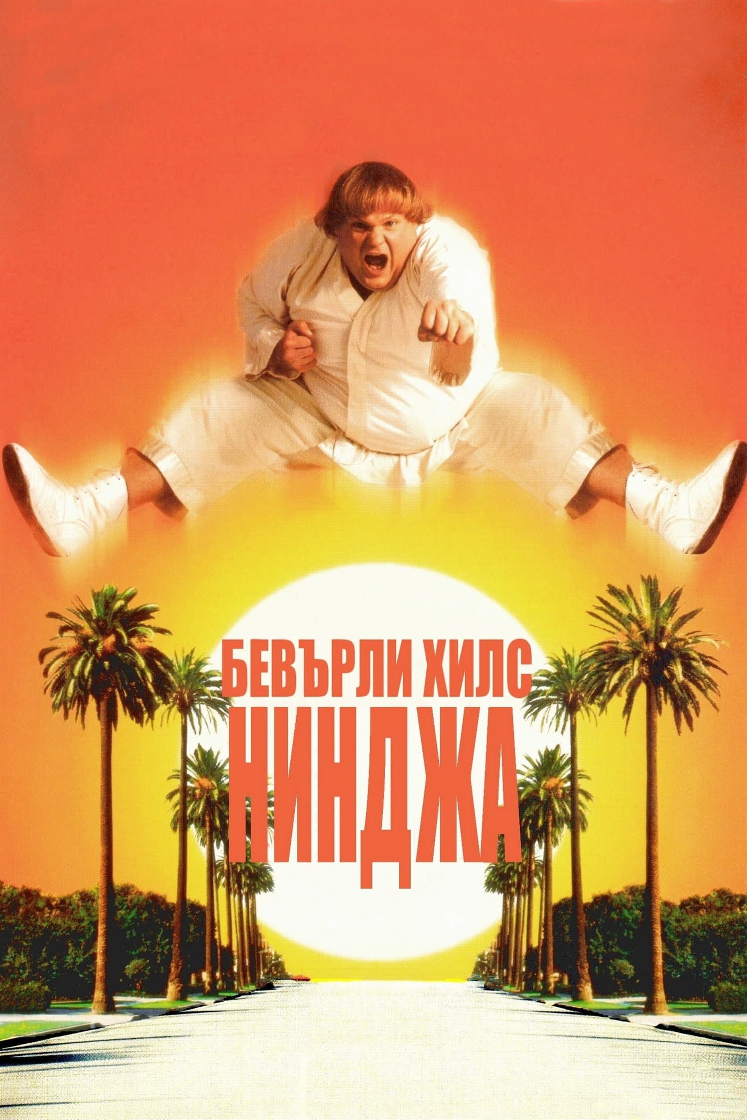 Beverly Hills Ninja / Бевърли хилс нинджа