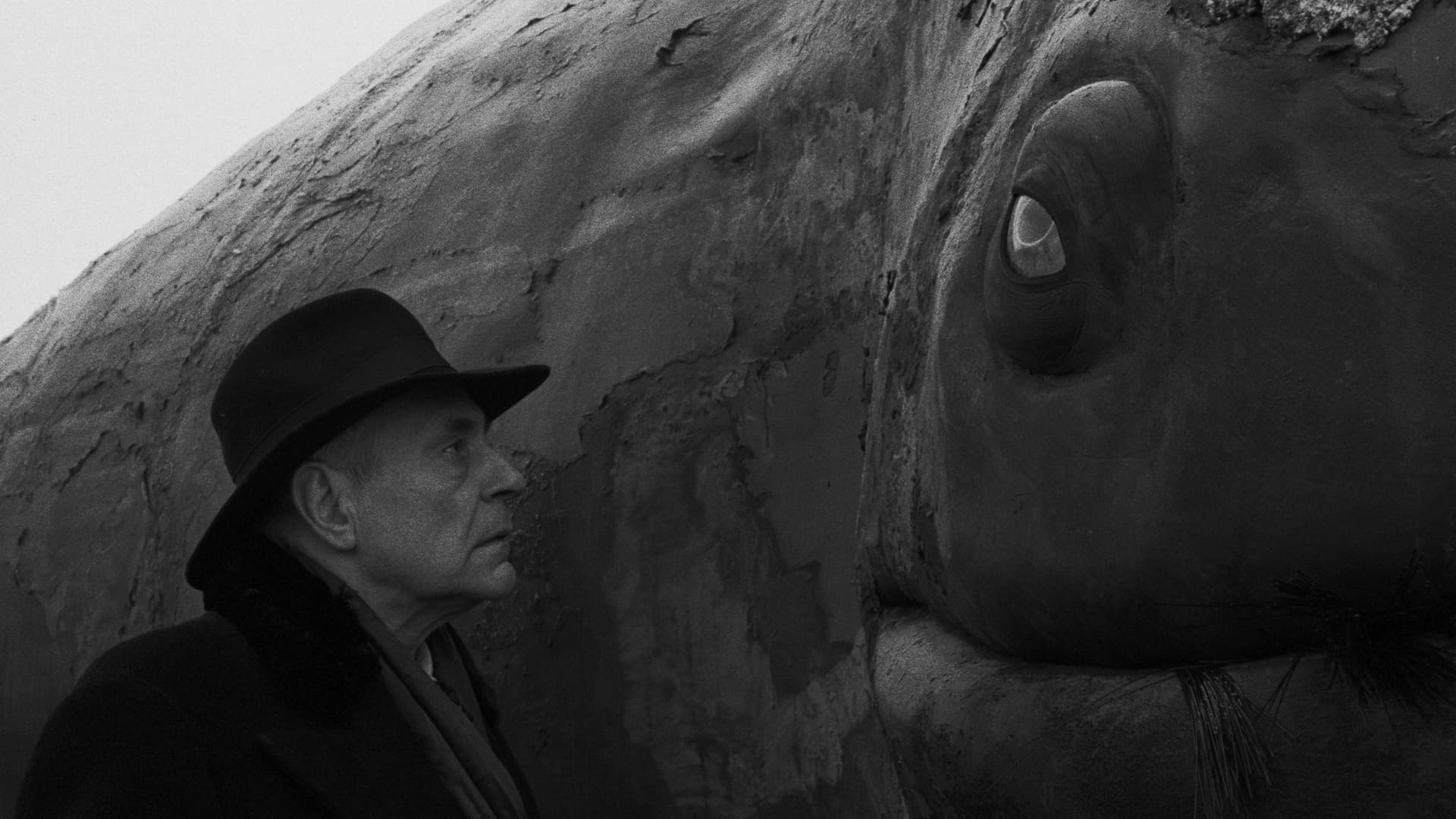 Werckmeister harmóniák / Веркмайстерови хармонии