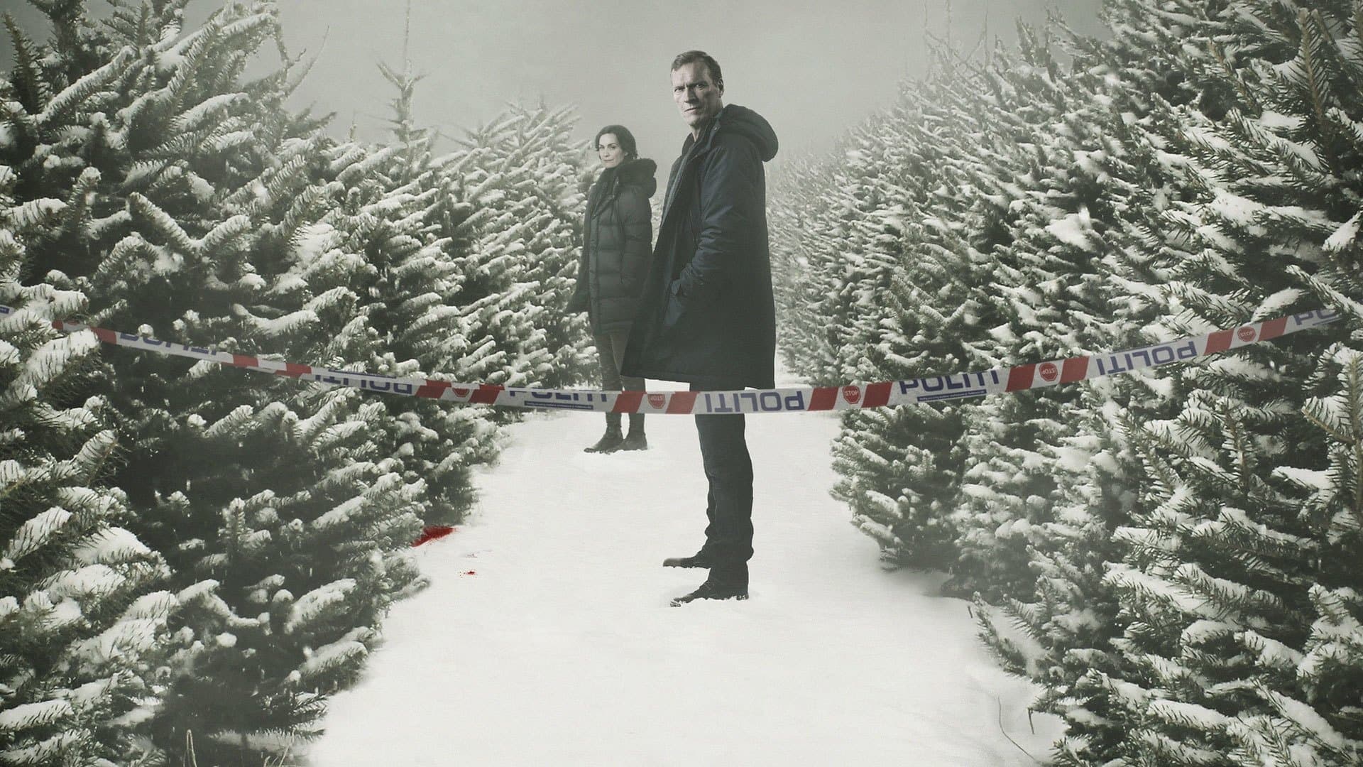 Wisting Season 5 / Комисар Вистинг - Сезон 5