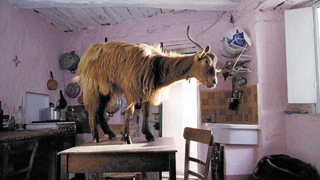 Le quattro volte / Четири пъти