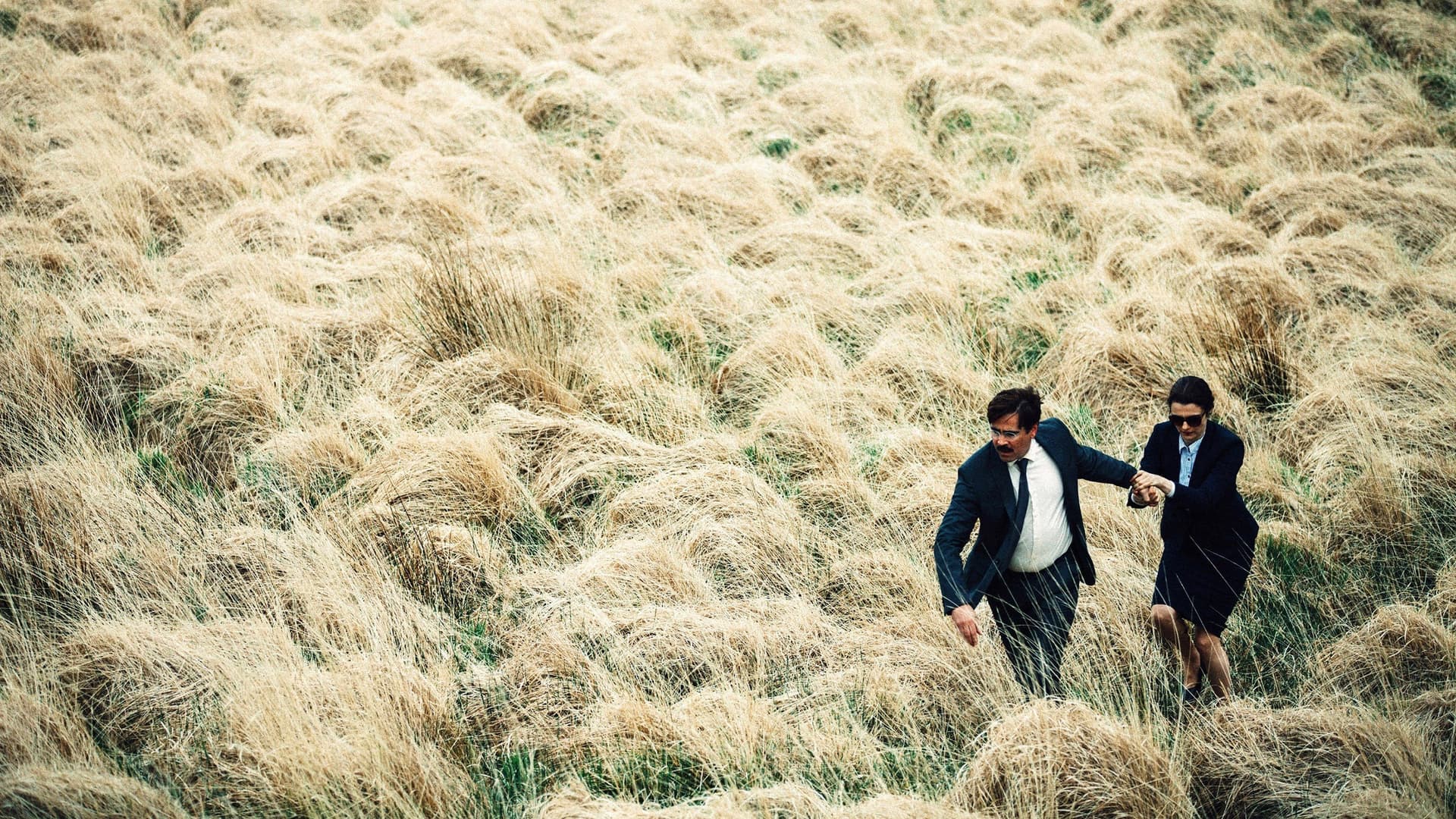 The Lobster / Омарът