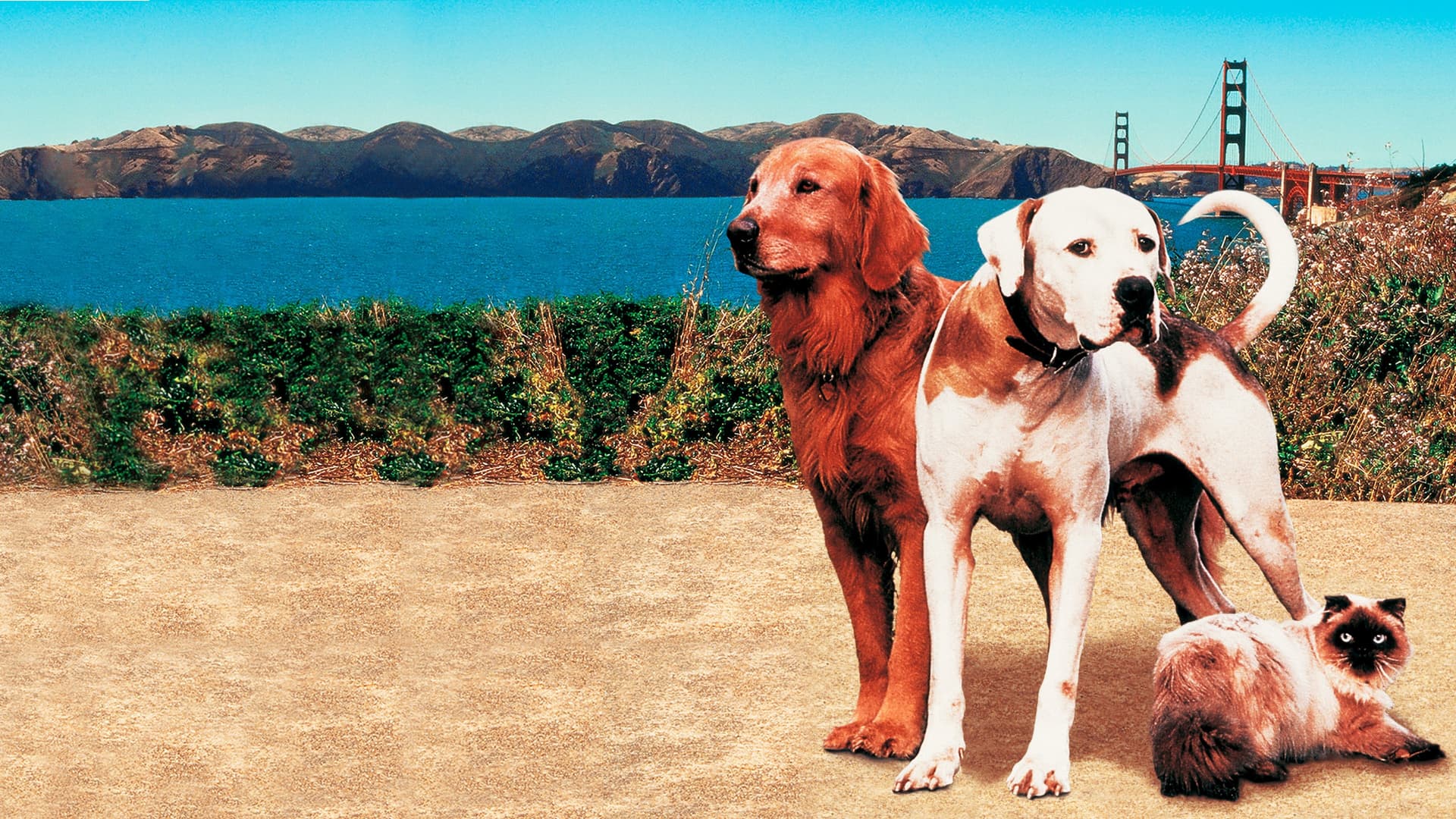 Homeward Bound II: Lost in San Francisco / Изгубени в Сан Франциско
