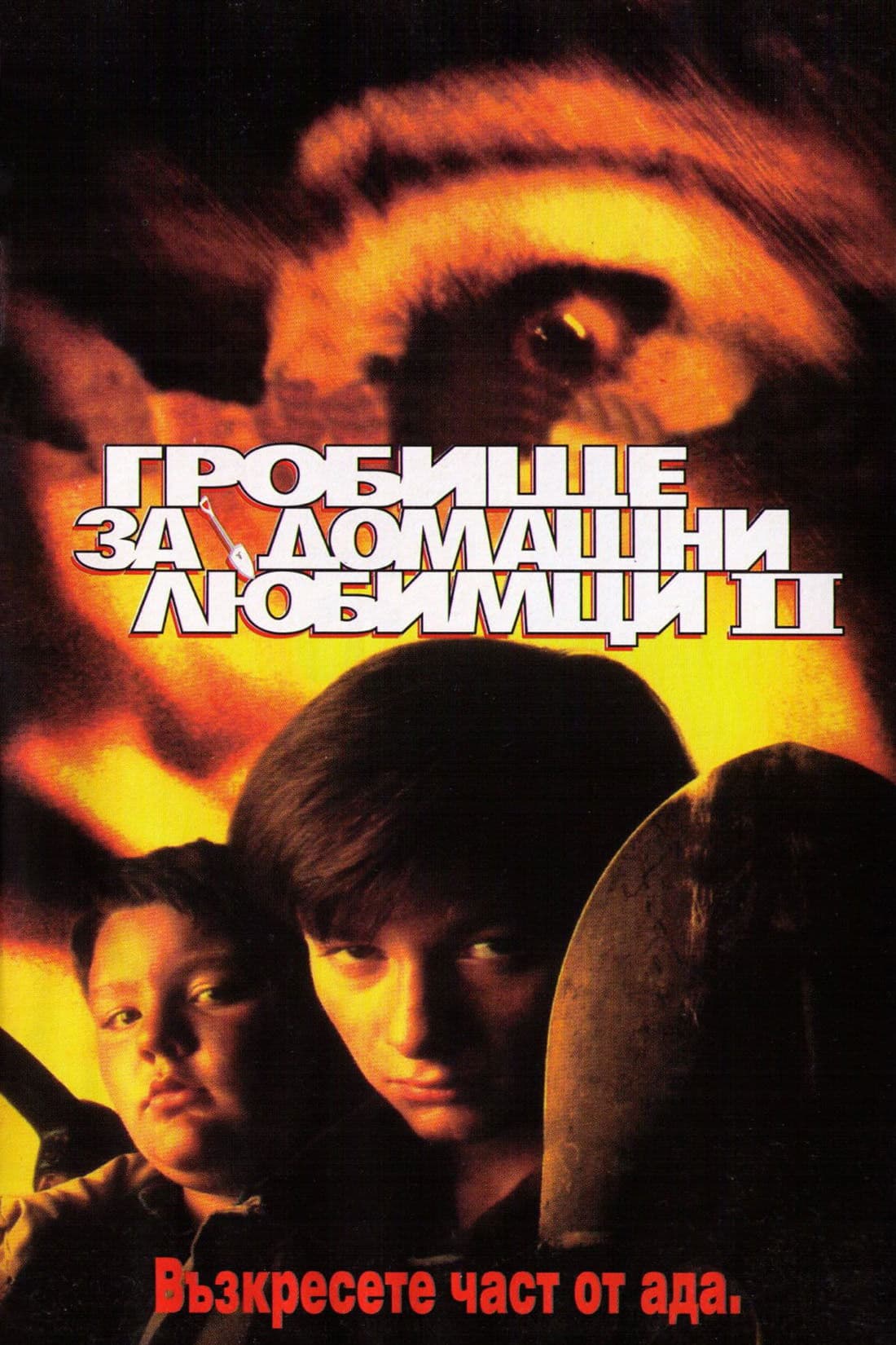 Pet Sematary II / Гробище за домашни любимци 2