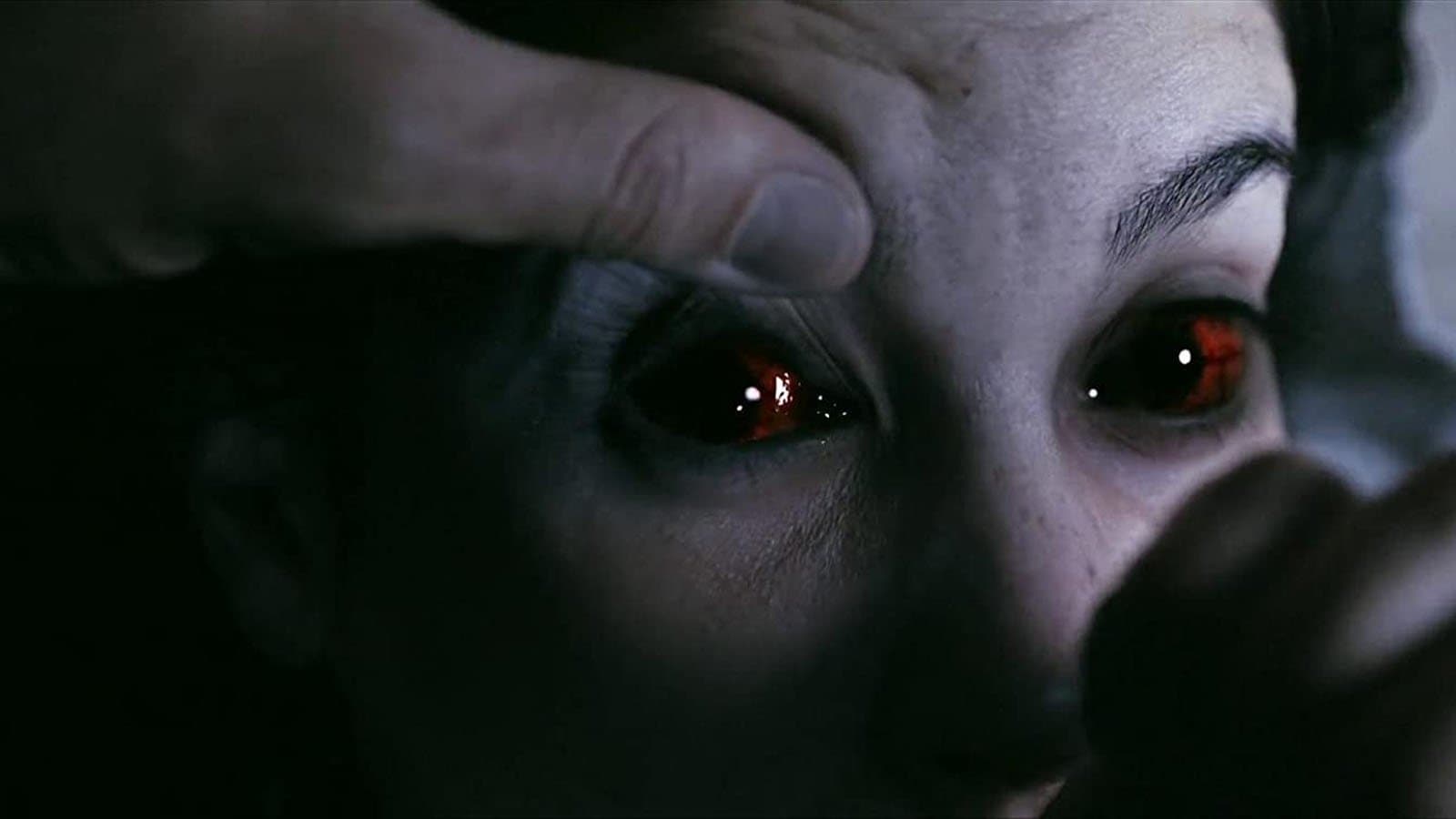 Infección / Инфекция 