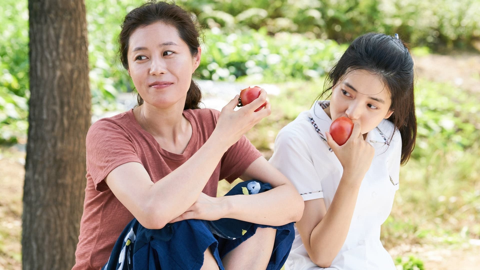 리틀 포레스트 / Малката гора