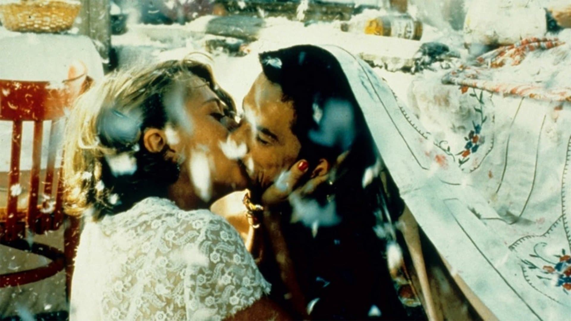 Crna mačka, beli mačor / Черна котка, бял котарак