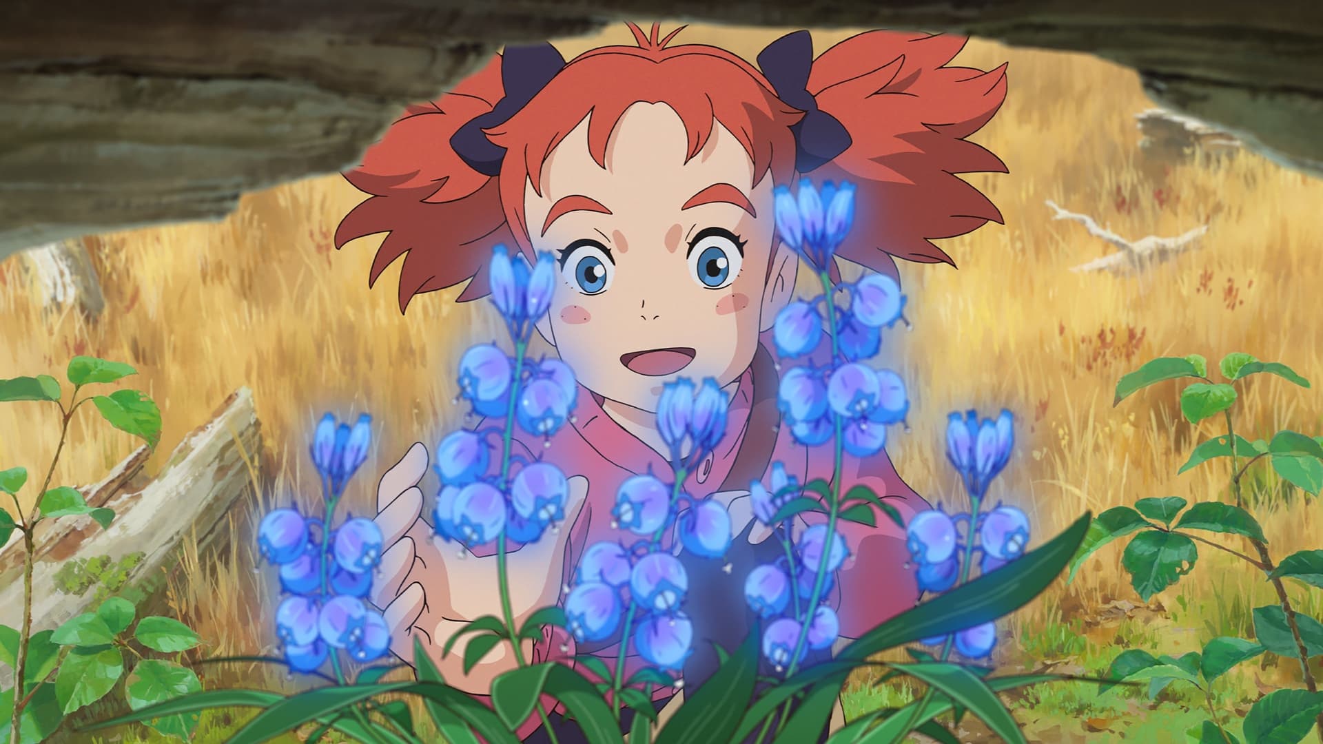 メアリと魔女の花 / Мери и цветето на вещицата