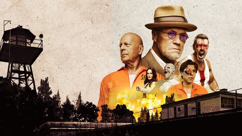 Corrective Measures / При строг режим (2022) BG AUDIO