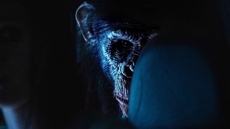 Primate / Примат