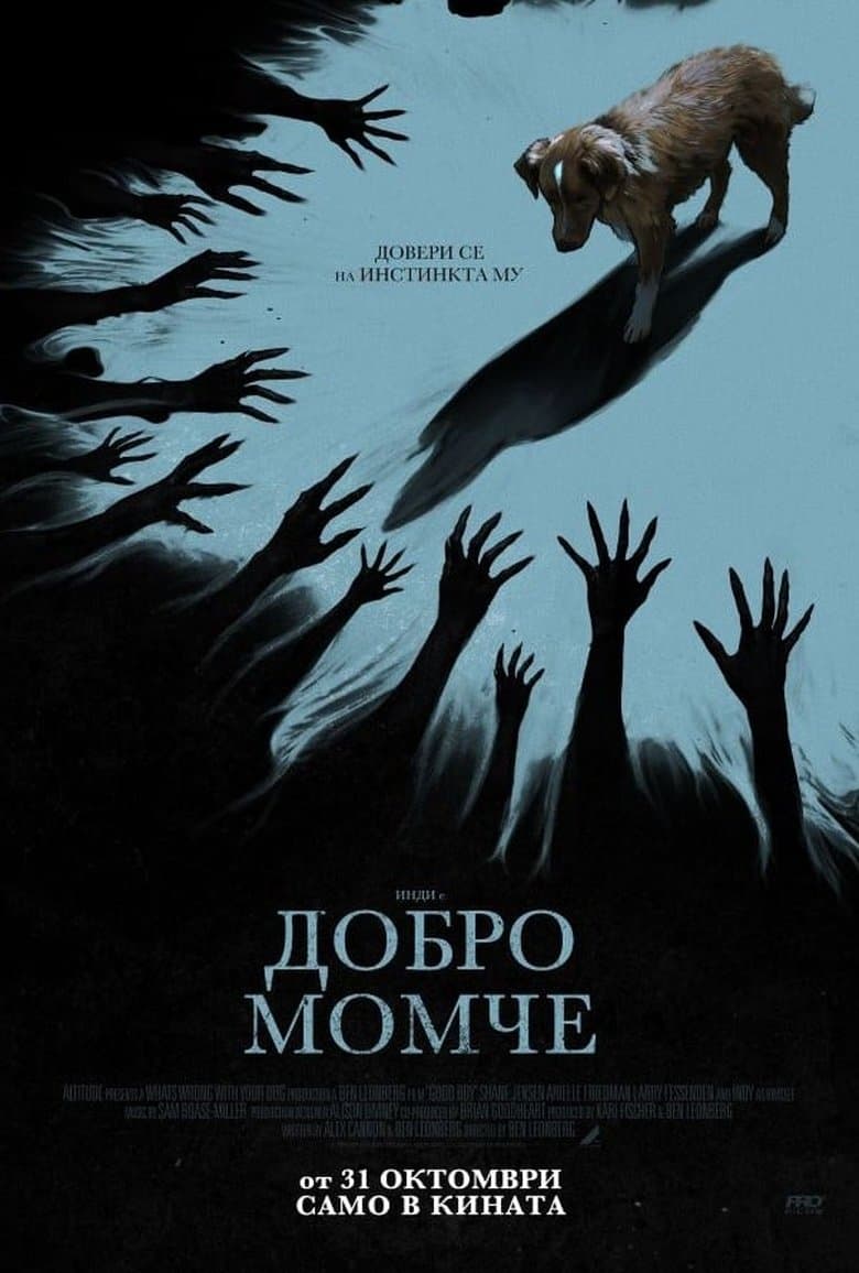 Good Boy / Добро момче (2025)