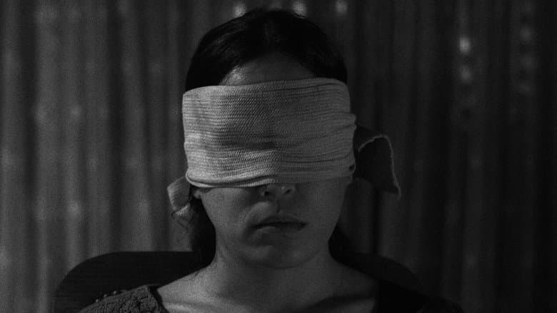 History of the Occult / История на окултното (2020)