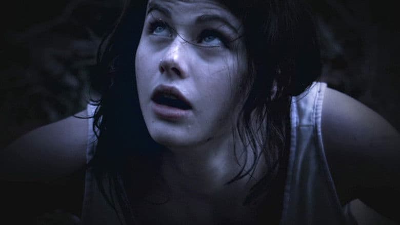 The Attic / Таванът (2008)