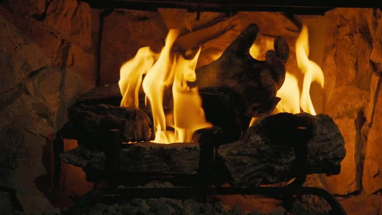 Fallout: The Ghoul Log / Фолаут : Дневникът на гуля