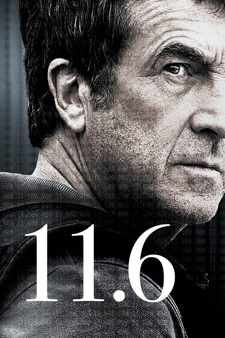 11.6 / 11.6 милиона (2013)