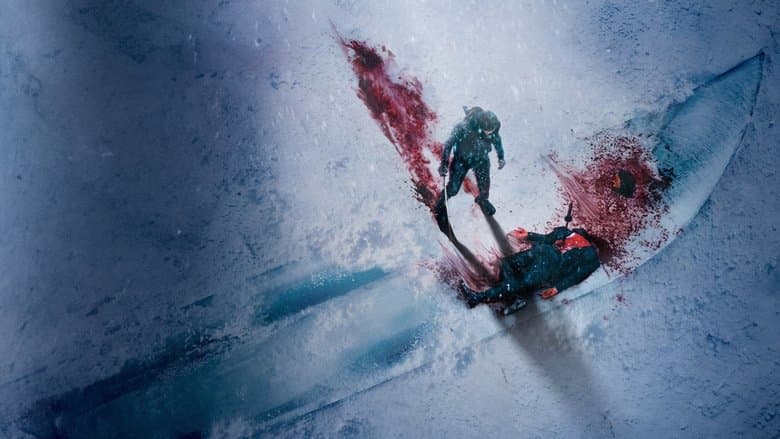 The Shadow Strays / Бездомни сенки (2024)