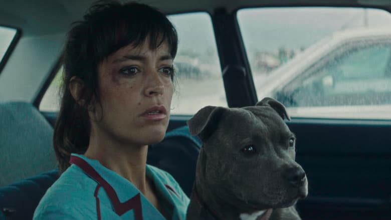 Vincent Must Die / Венсан трабва да умре (2023)