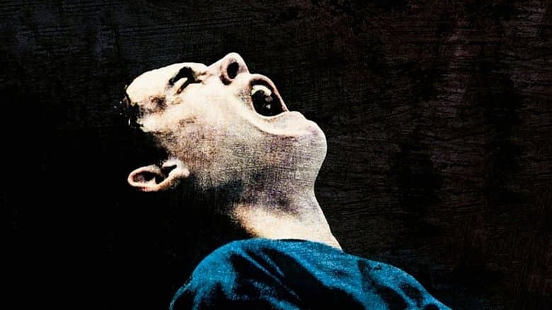 Dog Pound / Приют за кучета (2010)