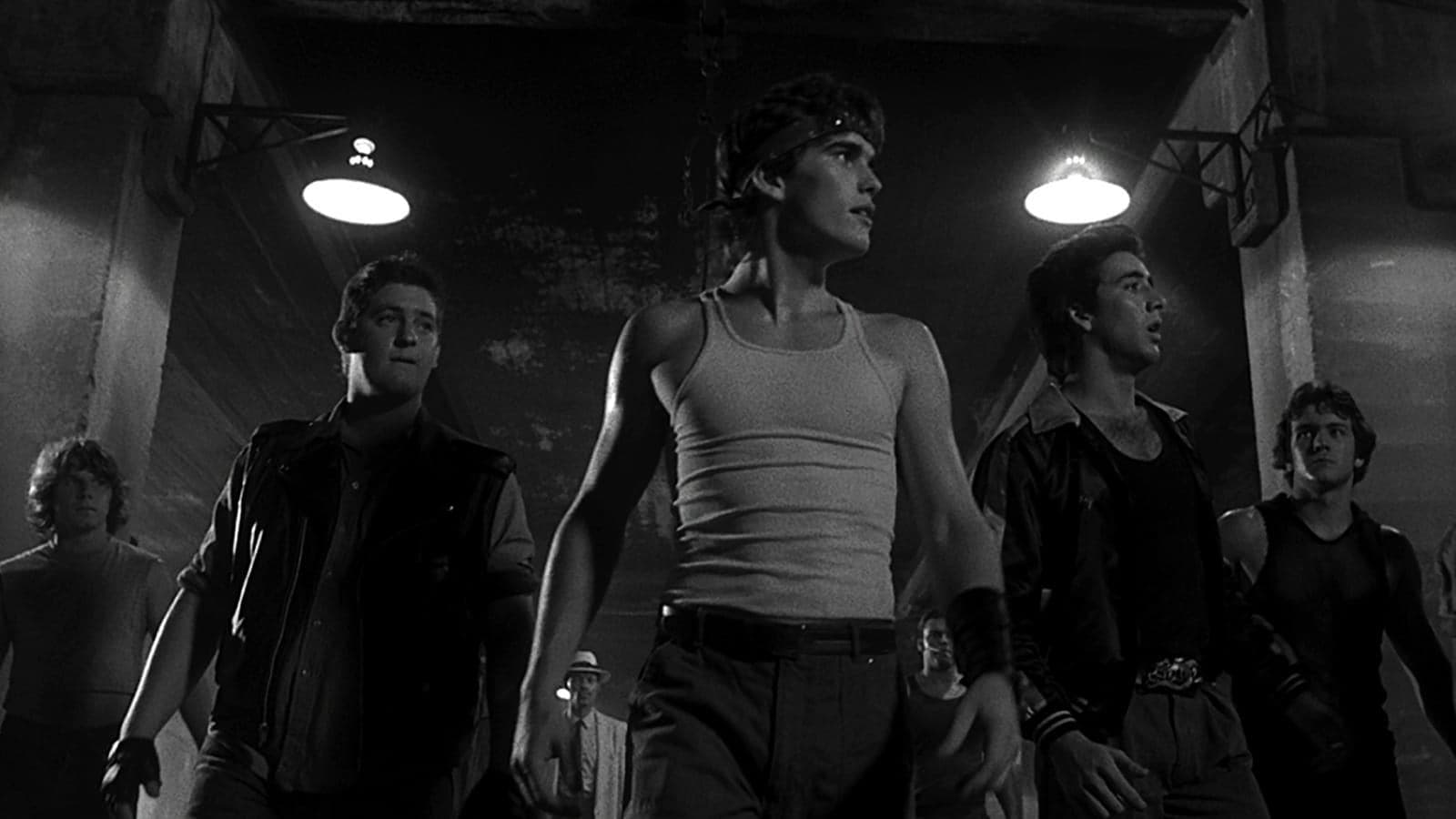 Rumble Fish / Риби бойци