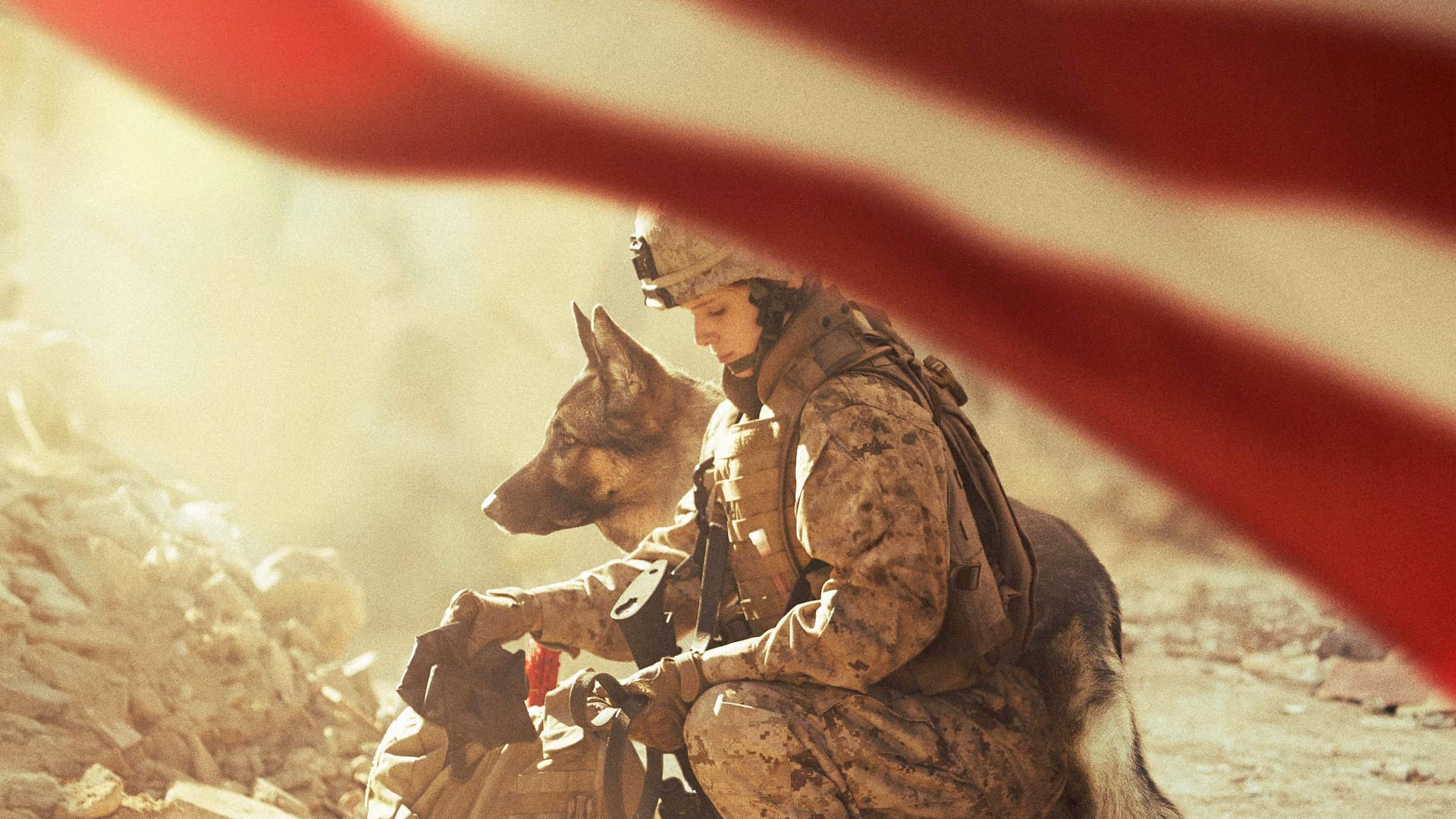 Megan Leavey / Меган Лийви