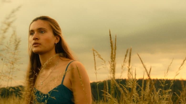 Someday We'll Tell Each Other Everything / Все някога ще си кажем всичко (2023)