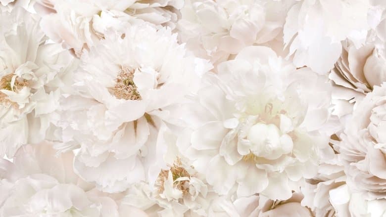 Deadly Vows / Опасна булка (2017) BG AUDIO