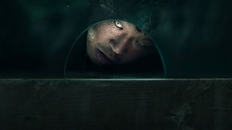 The 8th Night / Осмата нощ (2021)