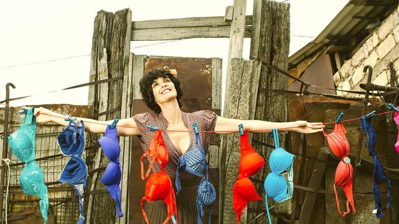 The Bra / Vom Lokfuhrer, der die Liebe suchte... / Сутиенът (2018) BG AUDIO