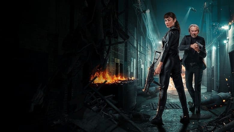 Paradox Effect / Ефектът на парадокса (2024)